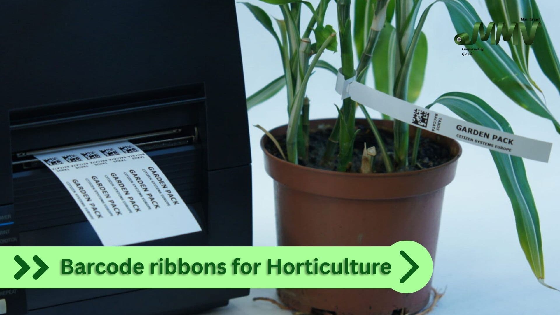 Horticulture
