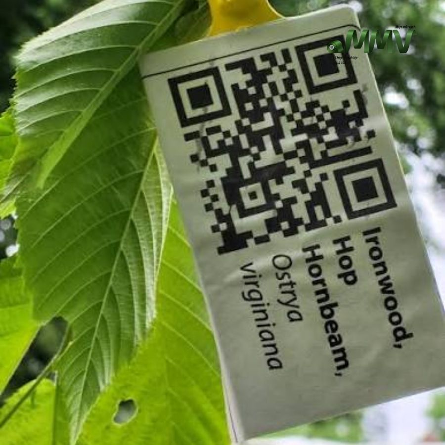 Thermal transfer ribbons solutions for horticulture labeling 2