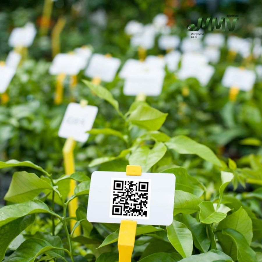Thermal transfer ribbons solutions for horticulture labeling 3