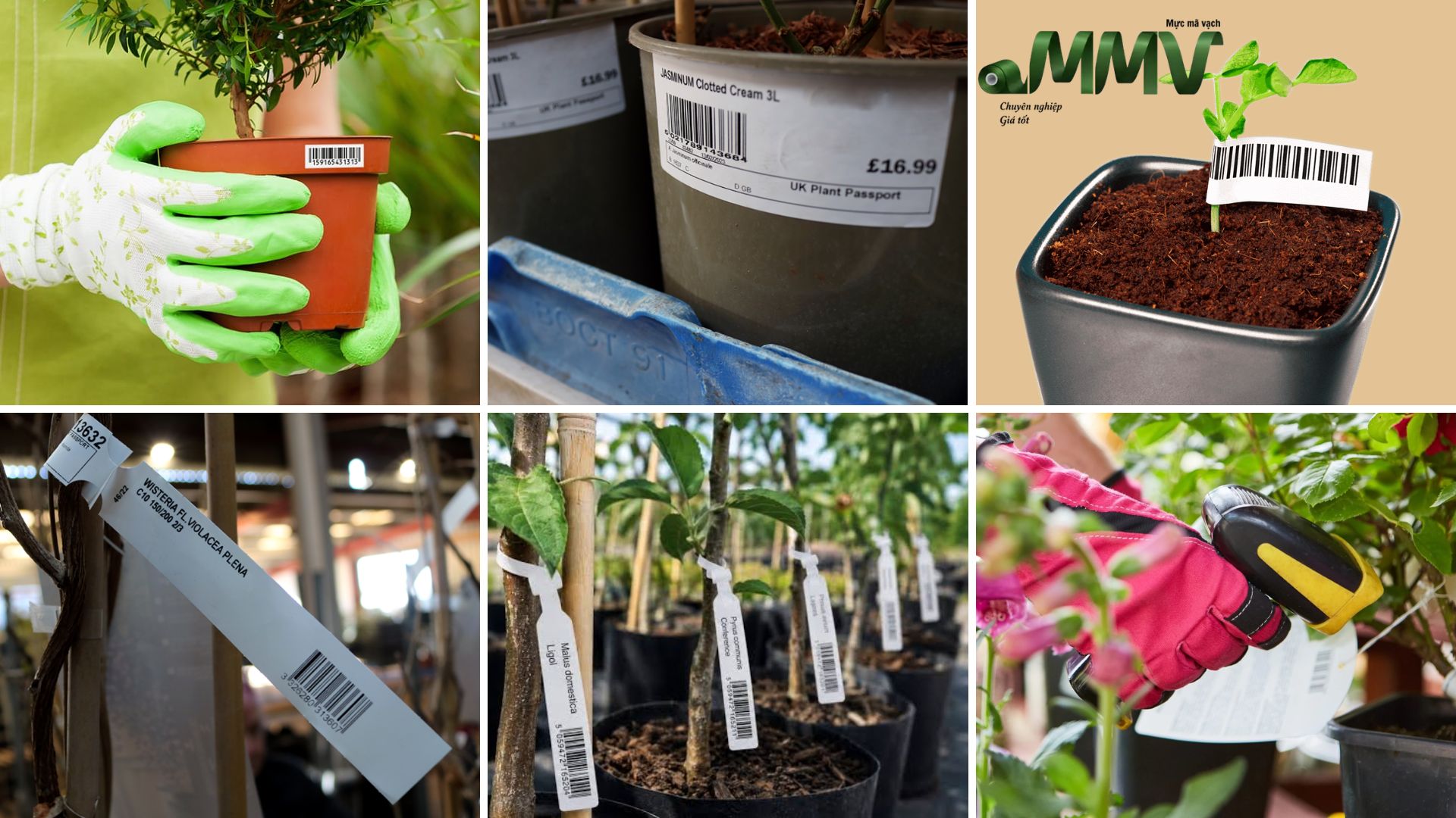 Types of Labels Used in Horticulture Applications