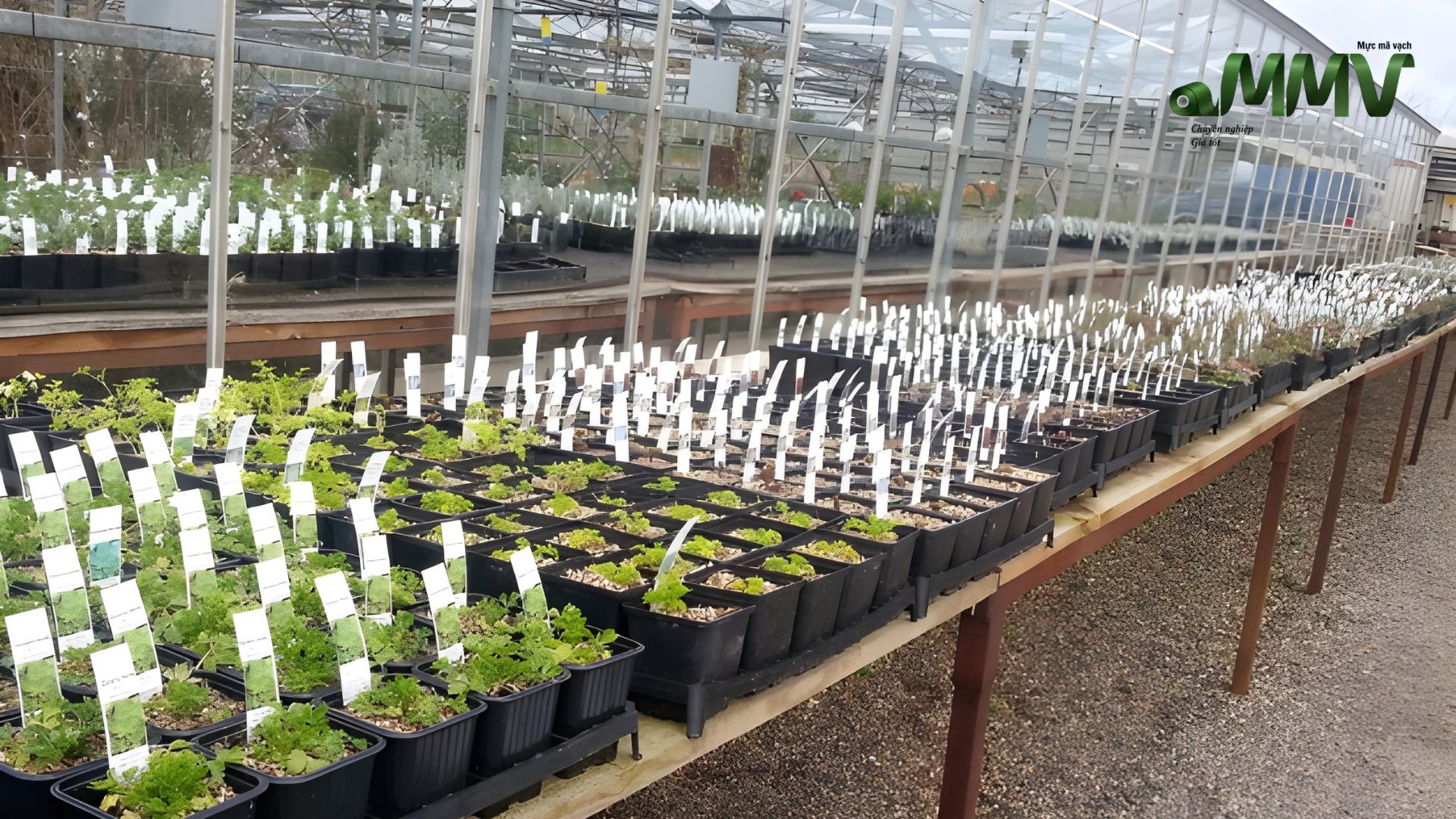 Reasons Barcode Labels Are Essential in Horticulture Applications