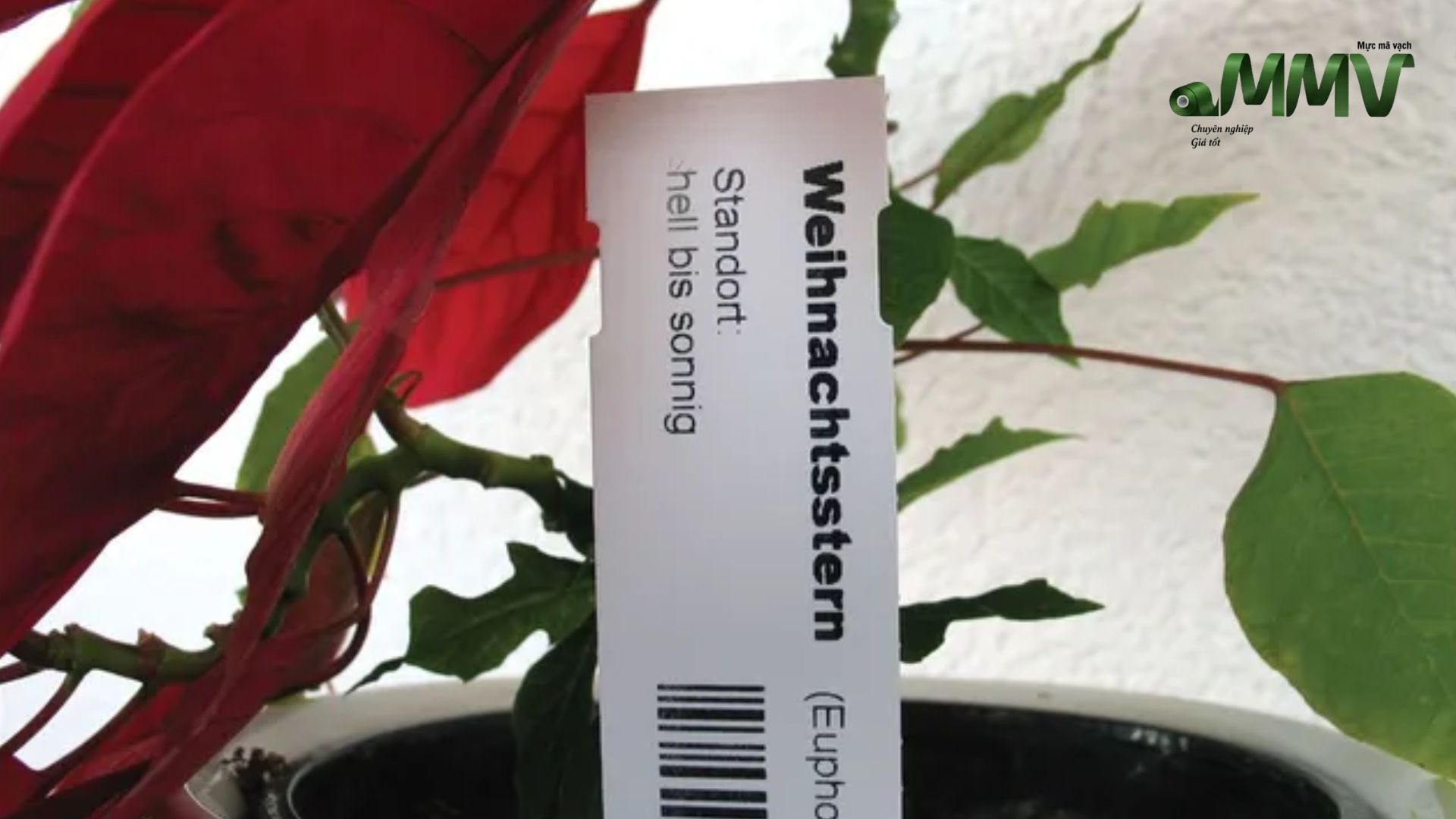 Why Thermal Transfer Printing Is Ideal for Horticulture Applications