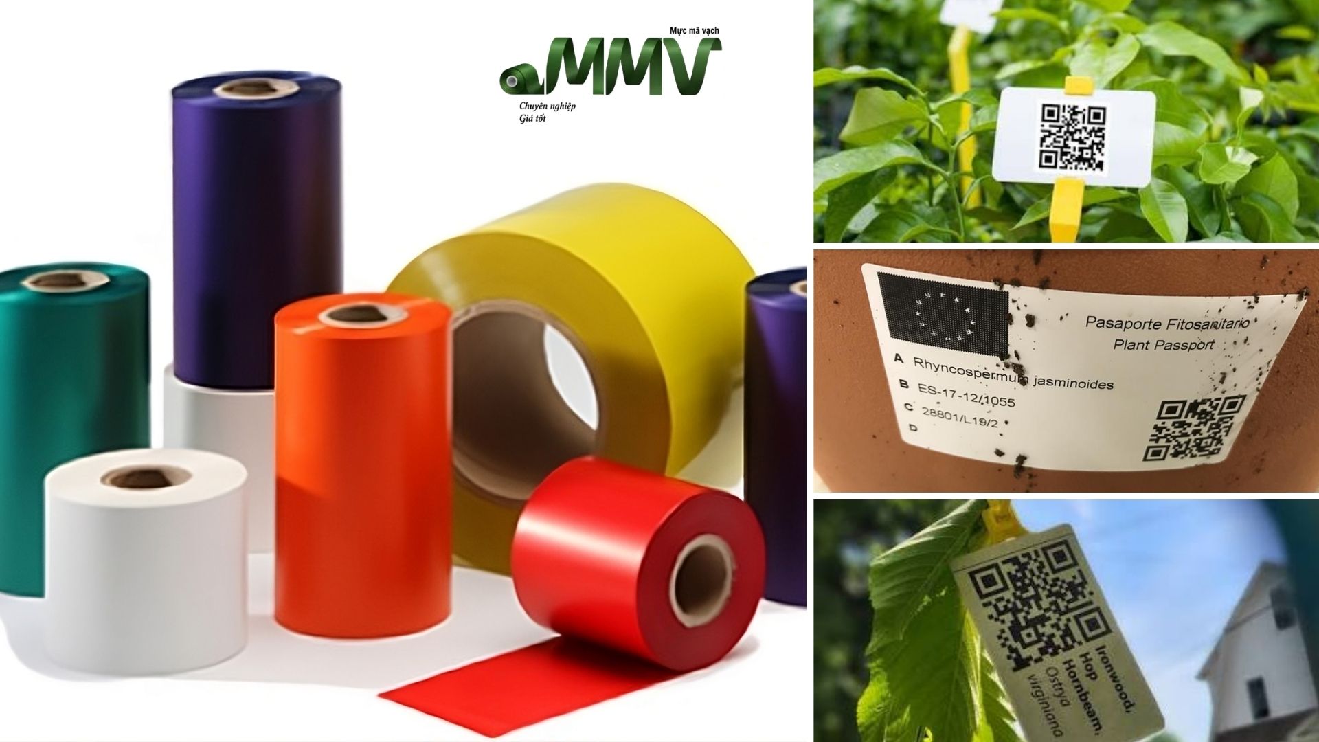 Which Barcode Ribbon Is Suitable for Horticulture Applications