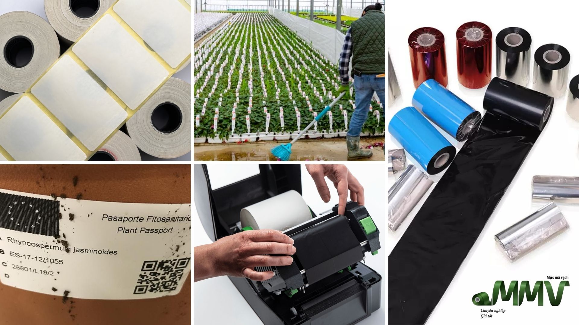 Considerations for choosing the right barcode ribbon for horticulture application